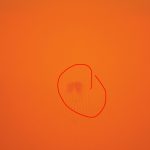 LOTTO NEON ORANGE ГРЯЗНЫЙ